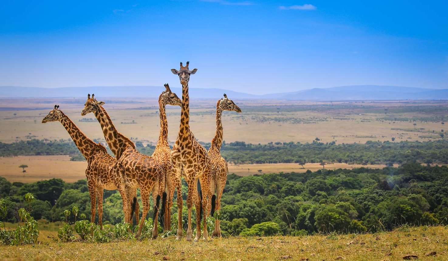 Maasai Mara Adventure