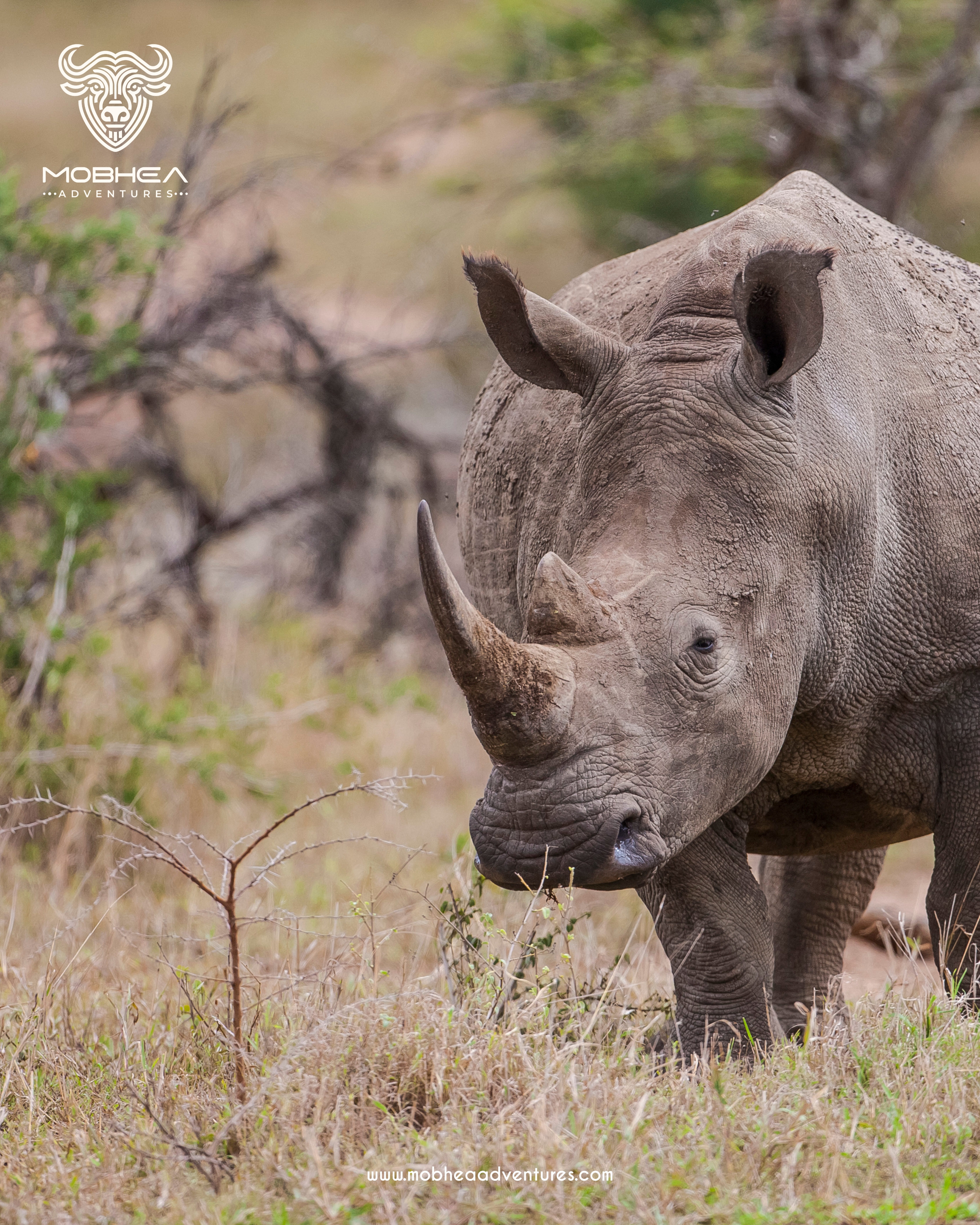 Maasai Mara Adventure