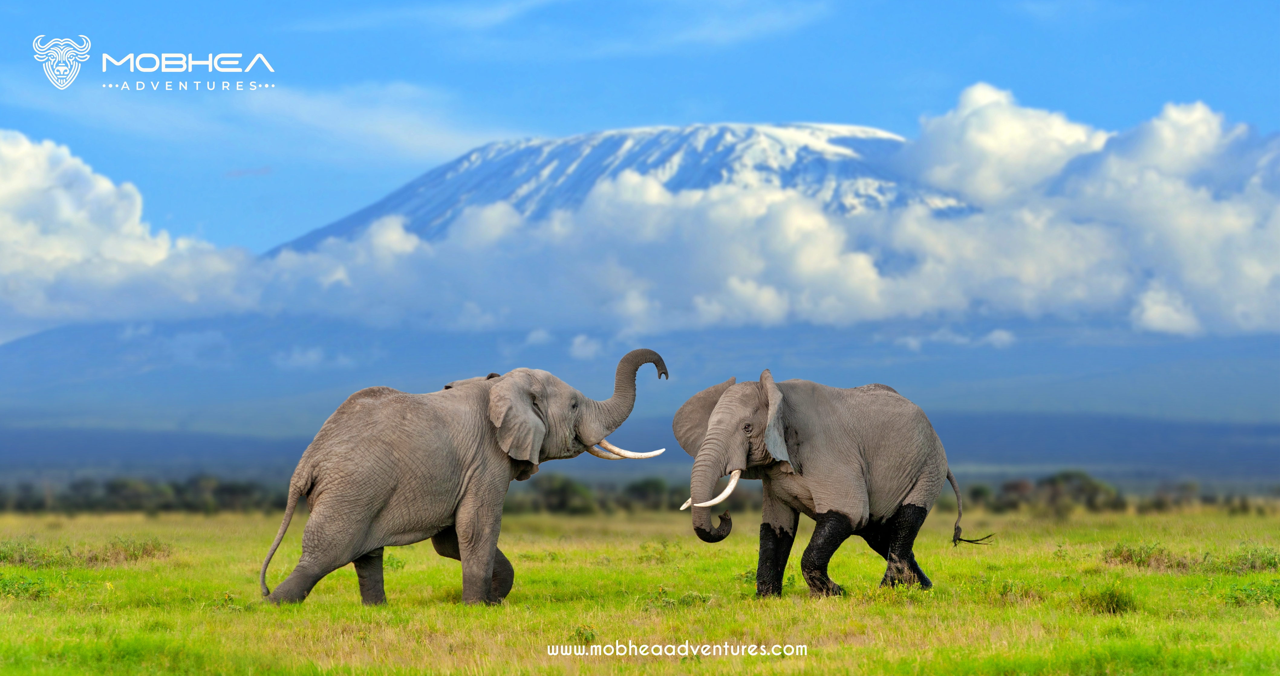 Maasai Mara Adventure