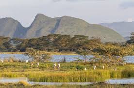 Soysambu Conservancy – Untouched Rift Valley Wilderness