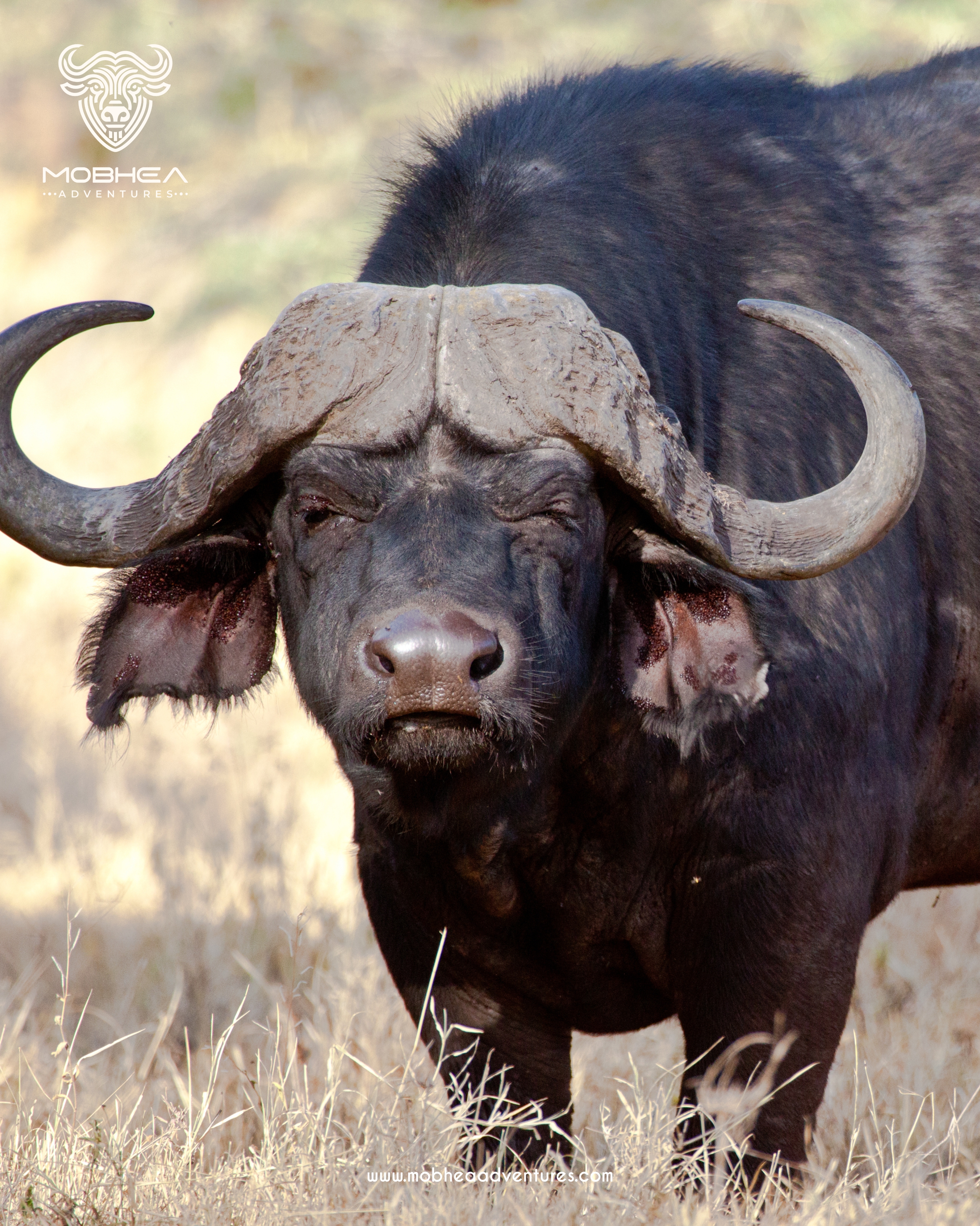 Maasai Mara Adventure