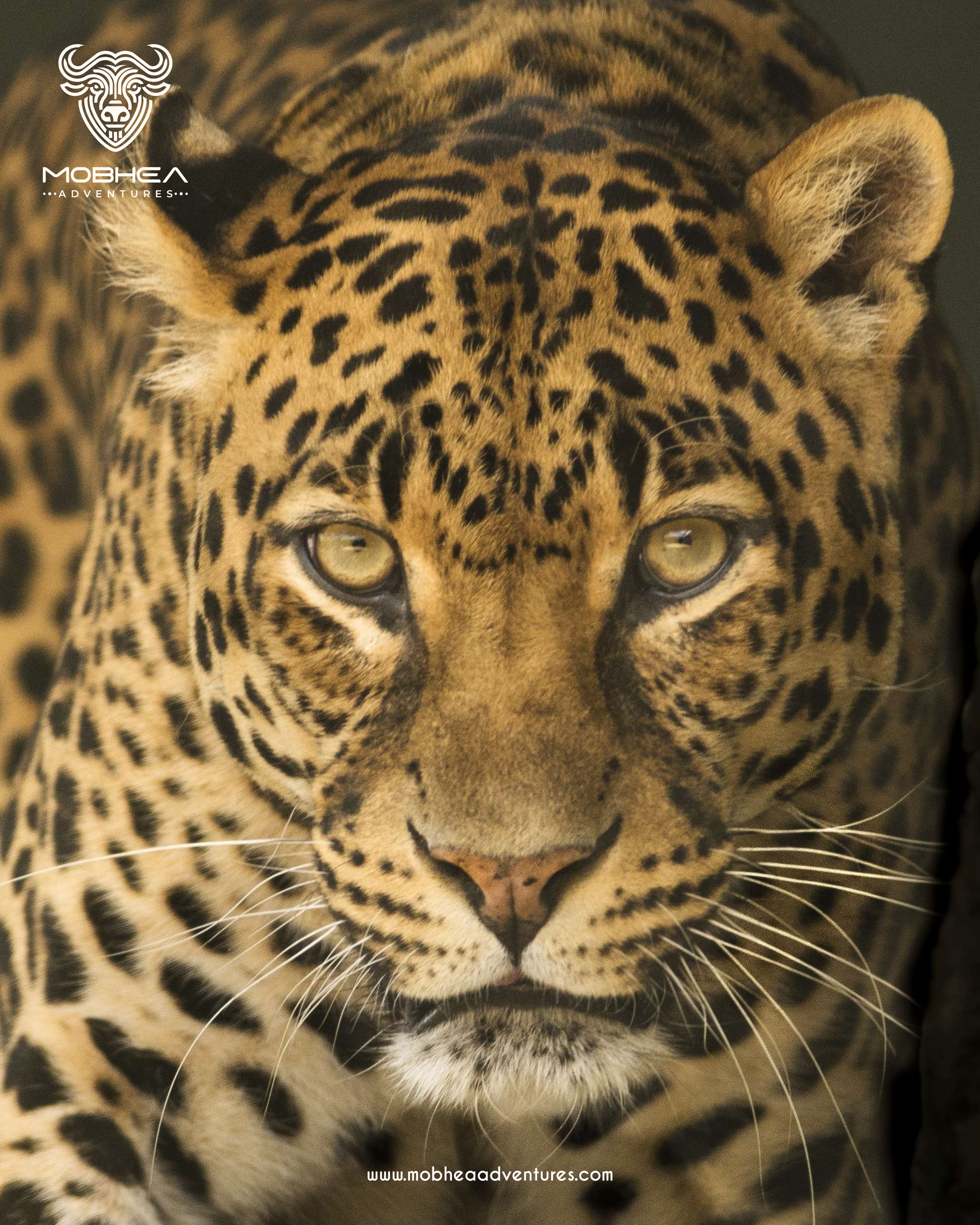 Maasai Mara Adventure